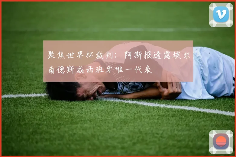 聚焦世界杯裁判：阿斯报透露埃尔南德斯成西班牙唯一代表